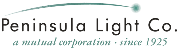 penlight-logo-300x84@2x penlight-logo-300x84@2x